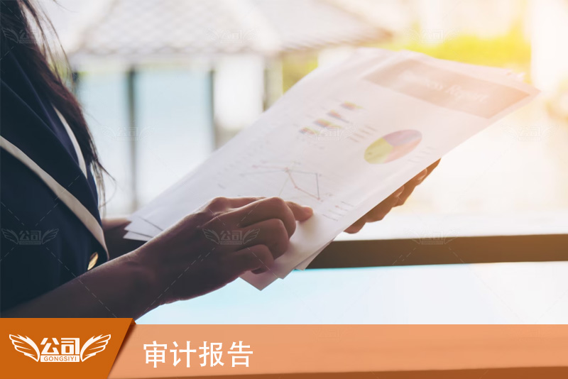 审计报告的重要性及如何解读关键信息