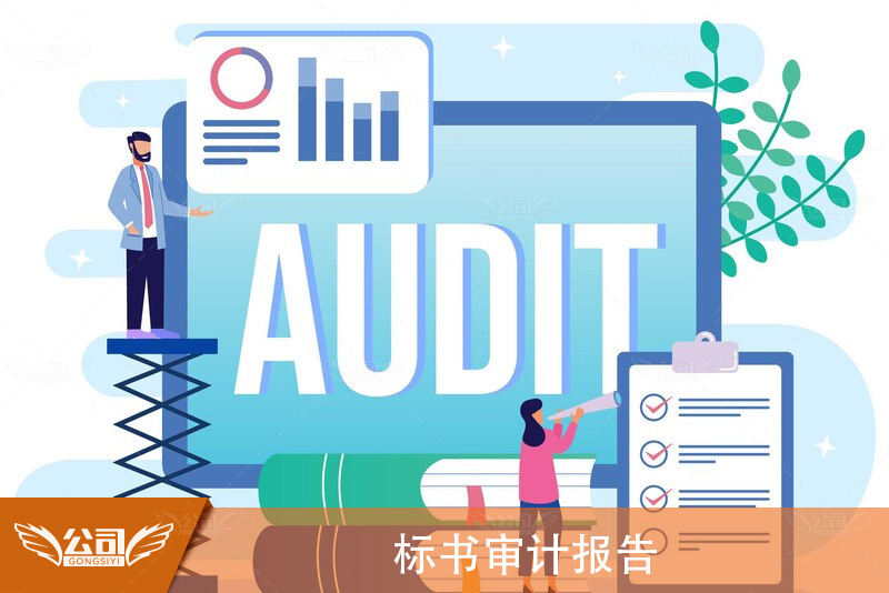 标书审计报告：如何准备和使用