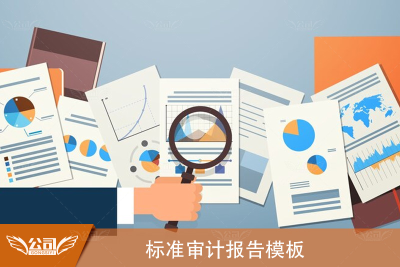 构建有效的财务检查：标准审计报告模板解析