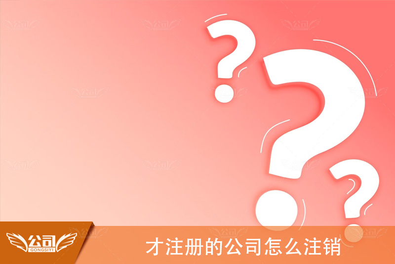 才注册的公司怎么注销：详解新注册公司的注销流程和注意事项