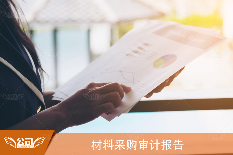 材料采购审计报告：深度解析审计流程与重要性