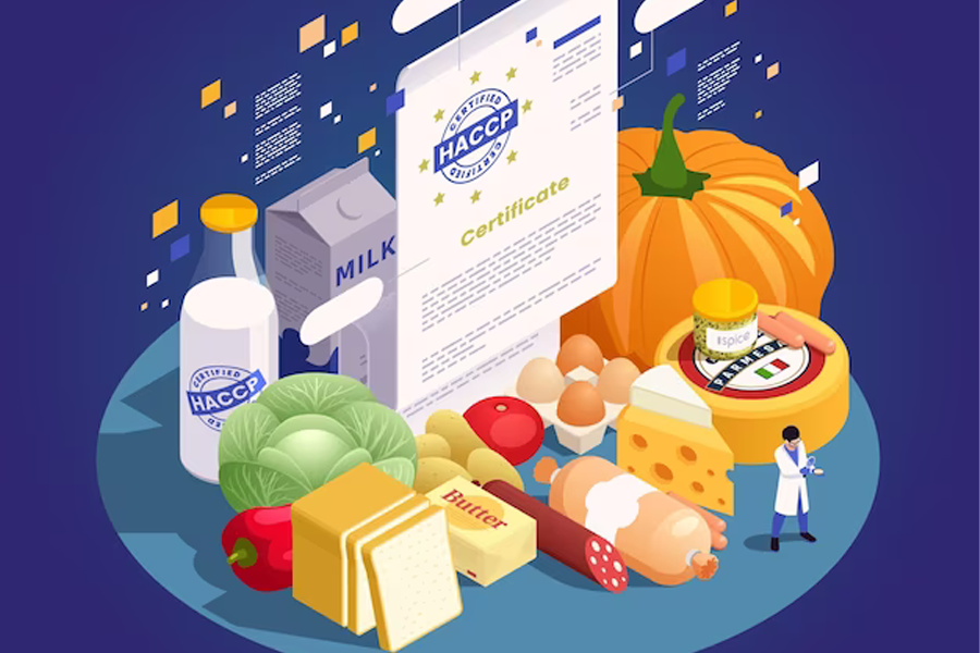 办理食品经营许可证备案流程及要点解析