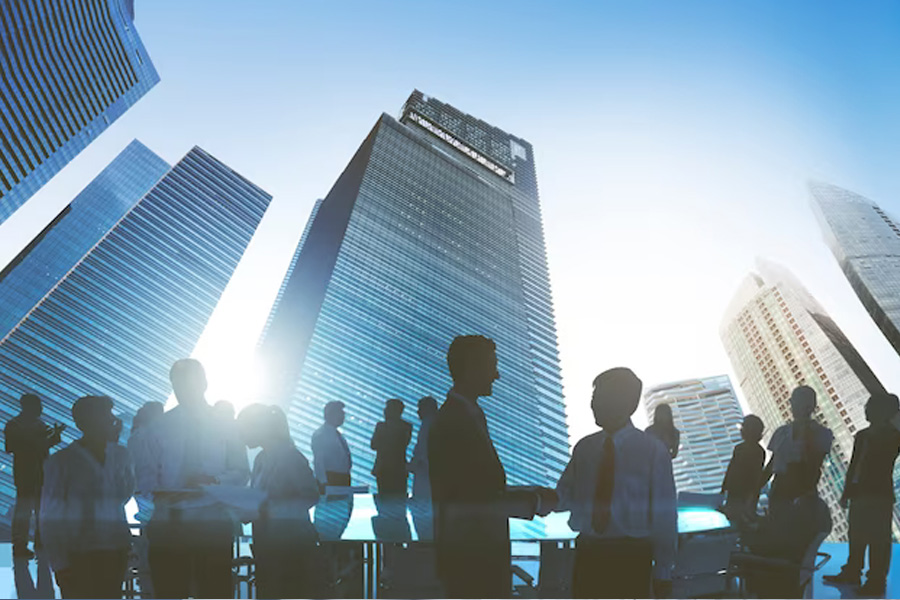 融合与变革：分公司吸纳合并的前景与挑战