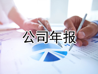 公司年报