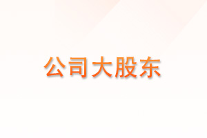 公司大股东
