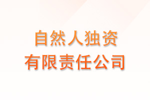 自然人独资有限责任公司
