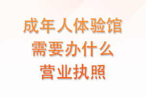 成年人体验馆需要办什么营业执照