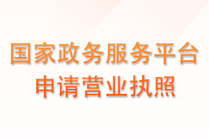 国家政务服务平台申请营业执照